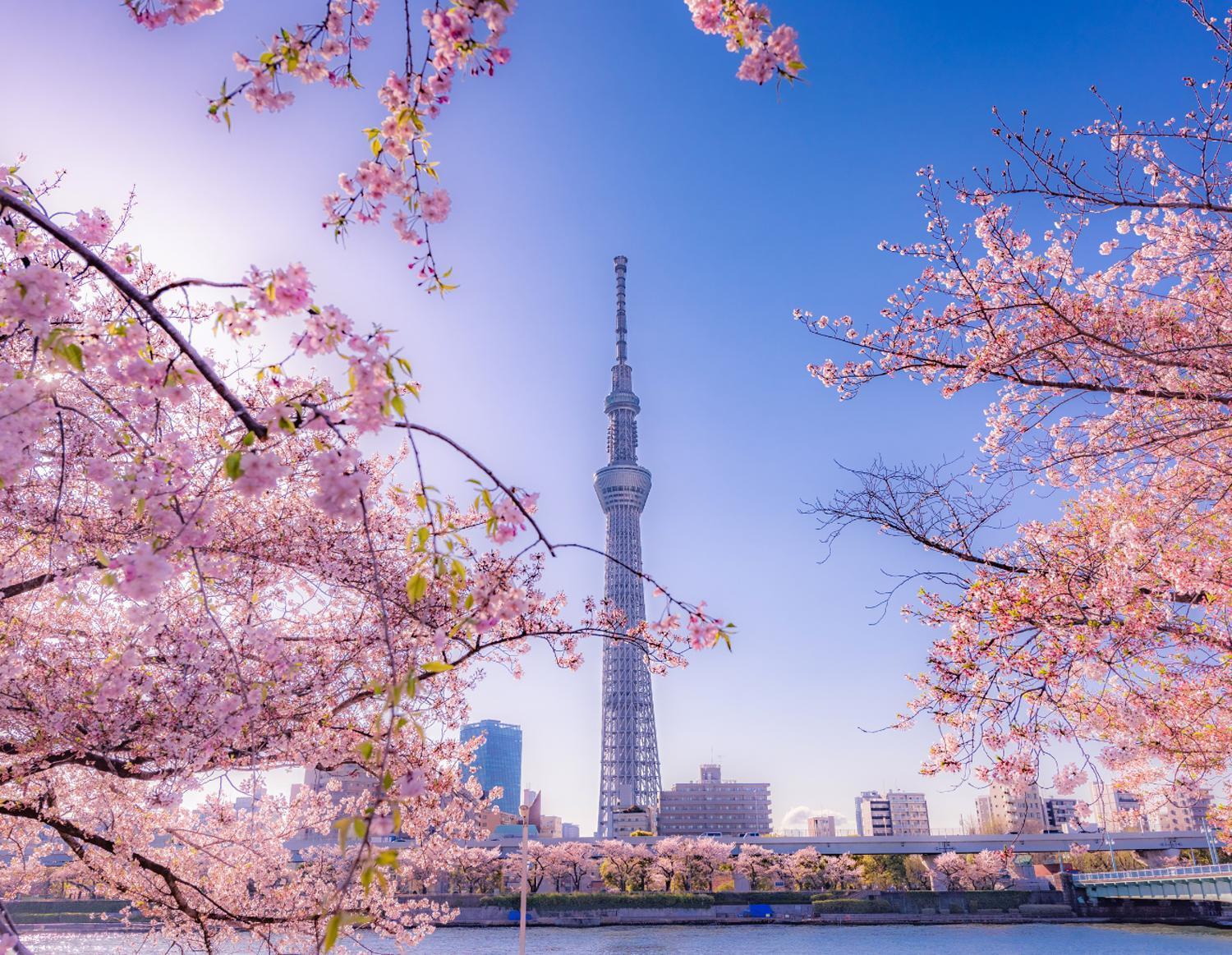 Grand Tree Hotel Skytree View Rooftop Asakusa Walk Tokyo Exterior photo